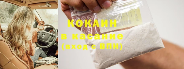 стафф Вяземский