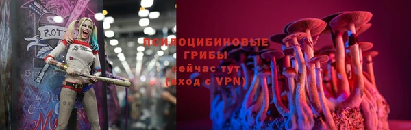 стафф Вяземский