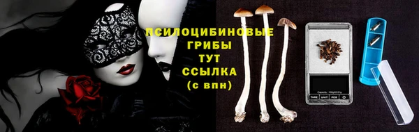 стафф Вяземский