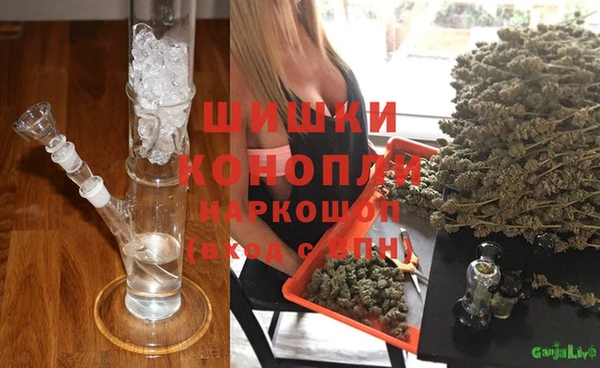 крисы Вязники