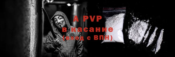стафф Вяземский