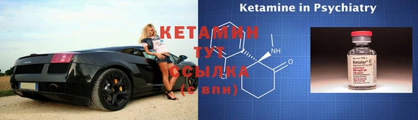 крисы Вязники
