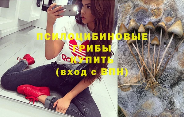 стафф Вяземский