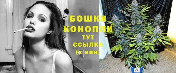 прущий лед Вязьма
