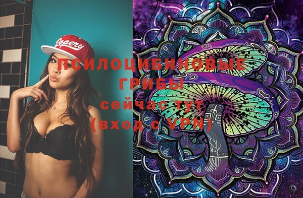 стафф Вяземский