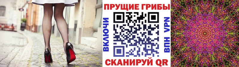 купить наркотики сайты  Очёр  Псилоцибиновые грибы мицелий 